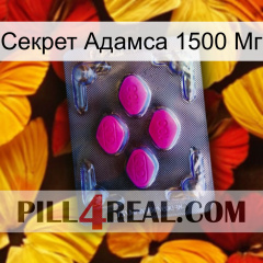 Секрет Адамса 1500 Мг 02